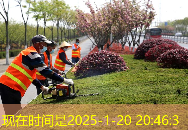 水生植物绿化工程录音课件