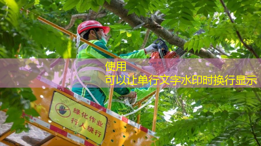 徐汇区创意绿化工程现货
