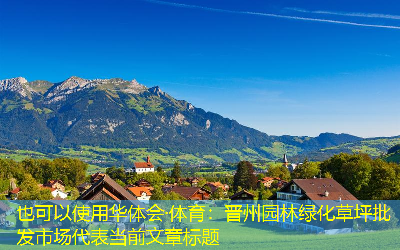 晋州园林绿化草坪批发市场