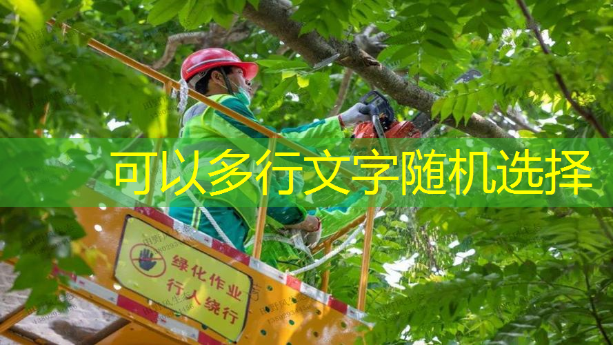 景观工程算绿化工程吗