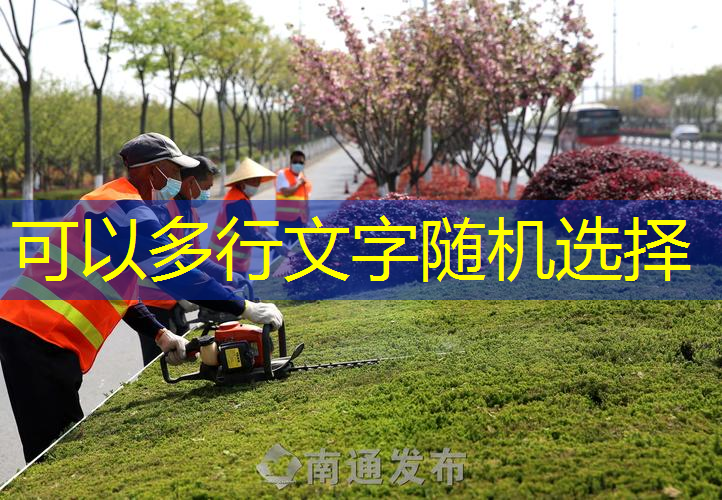 常德市政绿化公司累吗