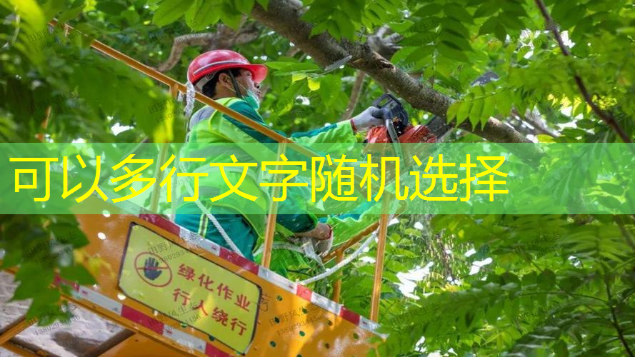 如何在新建小区中合理规划园林绿化布局？