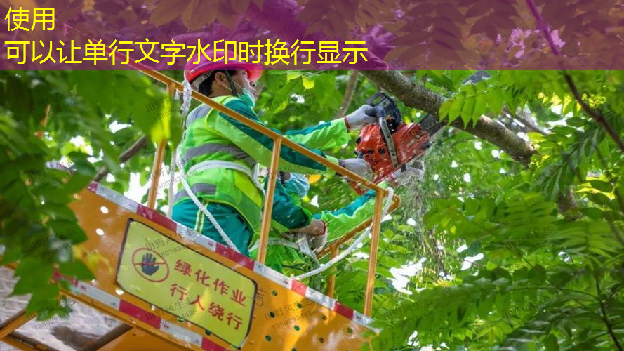 城市园林管理乏力，如何改善城市形象与市民生活？