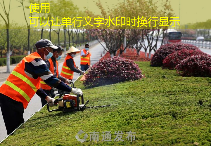 玄武区本地园林绿化工程