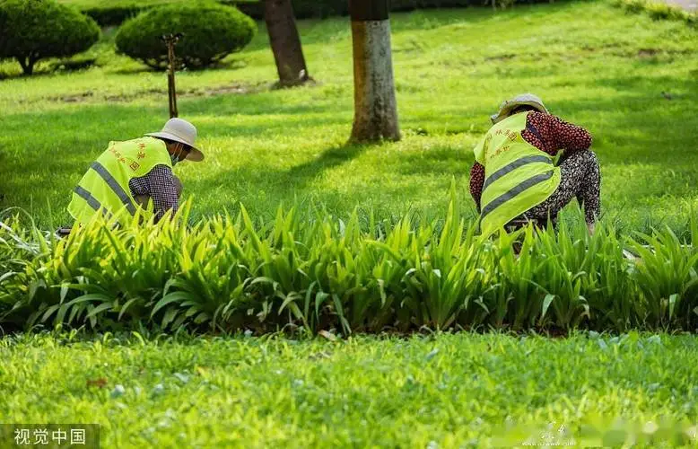 村园林景观设计施工