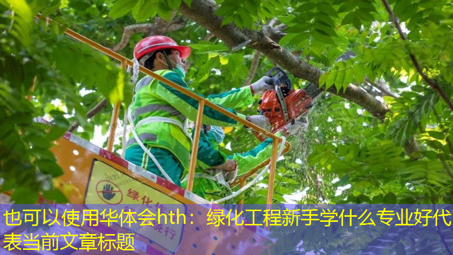 绿化工程新手学什么专业好