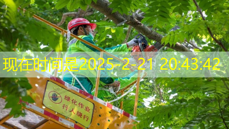 工业园区绿化工程总价标准
