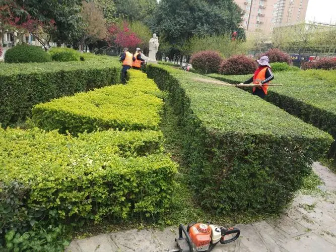 凤阳三巽壹号院绿化工程