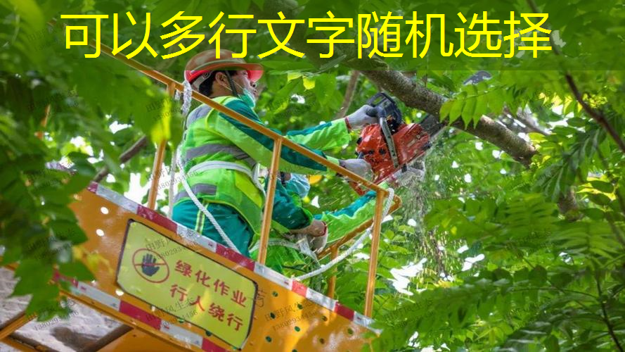 园林绿化工程中的植物病虫害防治措施