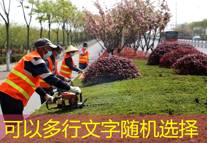 商水文化路商业街绿化工程