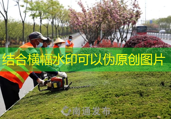 小区绿化工程苗木基地归谁所有