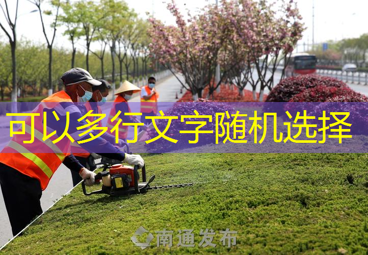 大冶吾悦广场一期绿化工程