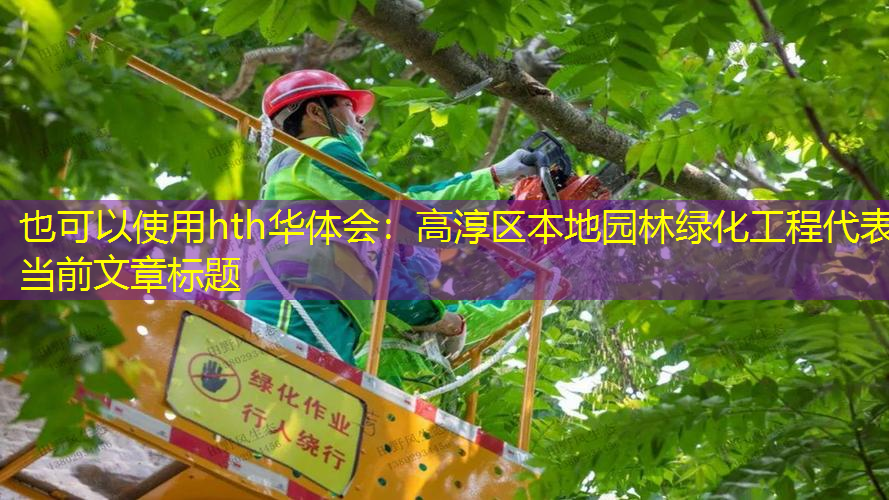高淳区本地园林绿化工程