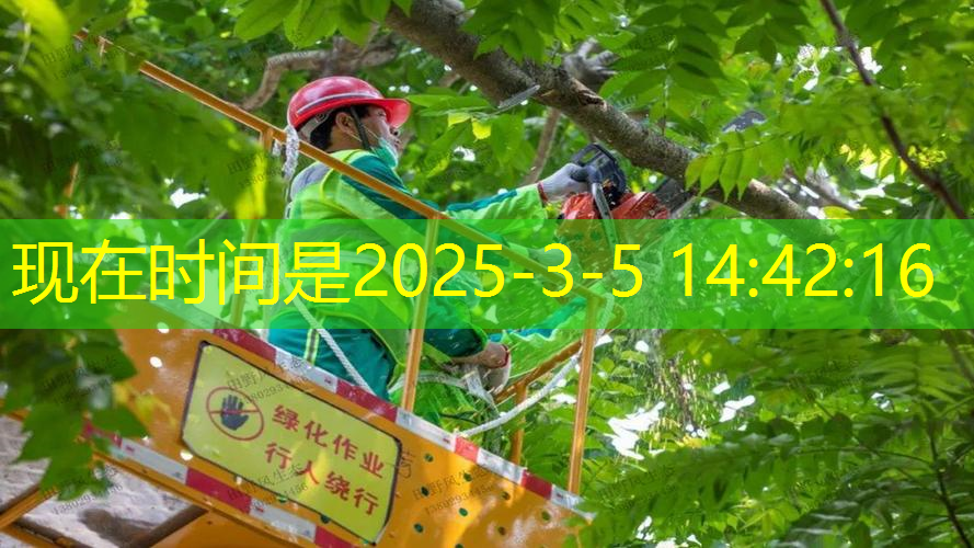 干绿化工程都是什么人物