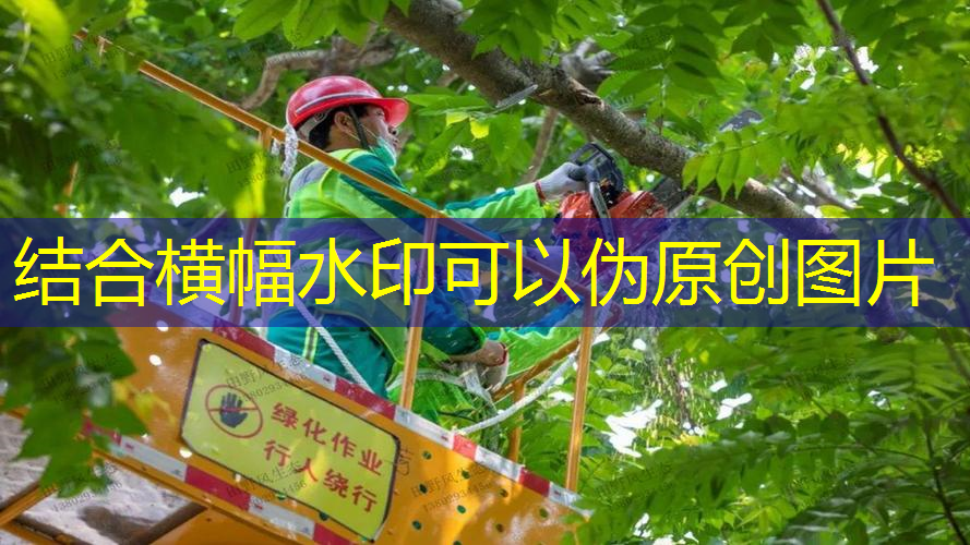 住建局绿化工程巡察方案