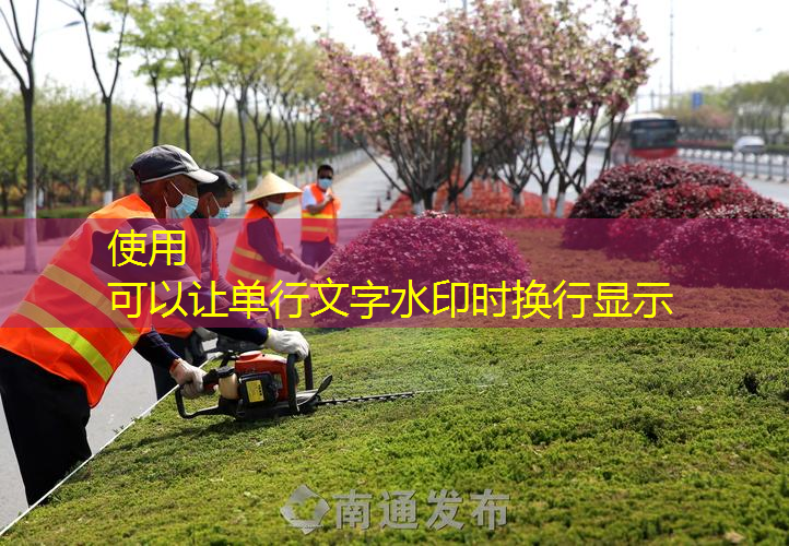 广东生态园林绿化工程验收