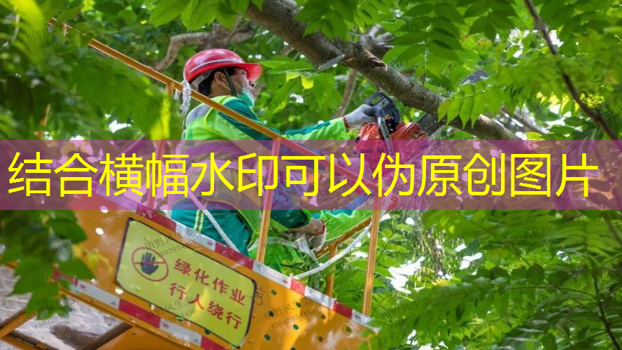 房顶绿化工程施工队伍
