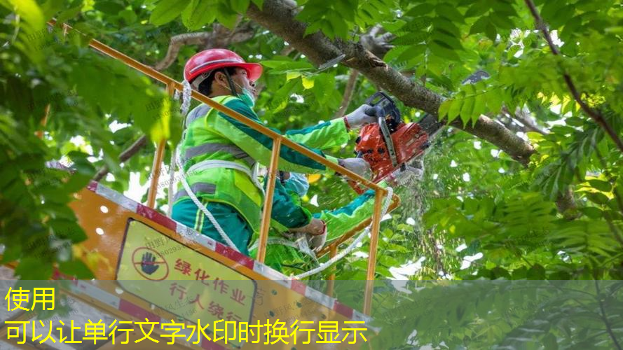 云林绿化工程师待遇