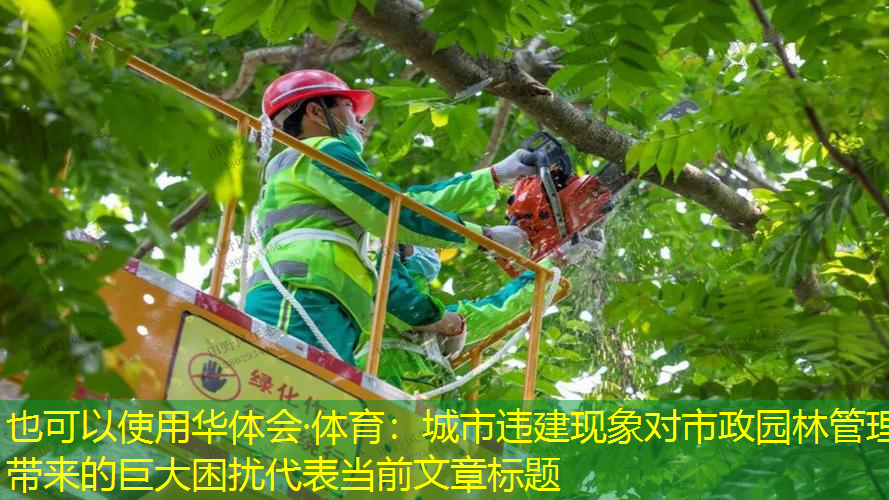 城市违建现象对市政园林管理带来的巨大困扰