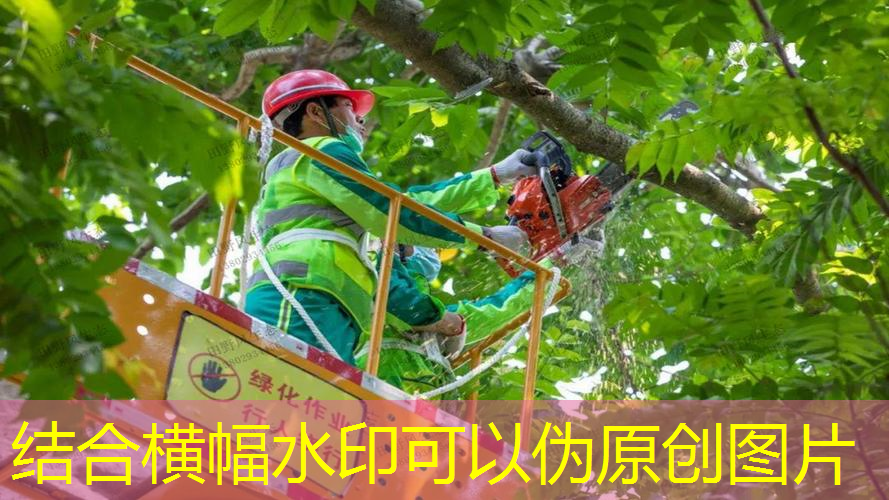 未来走向：市政园林管理面临的新挑战。