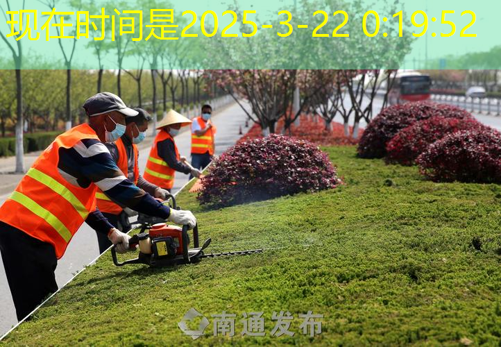 高淳区本地园林绿化工程