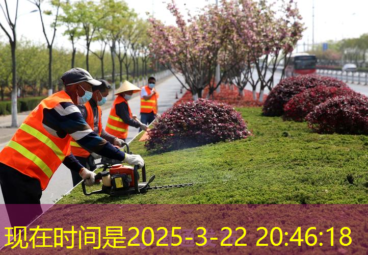 海迈绿化工程