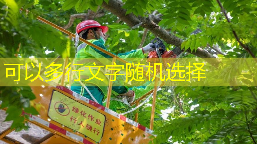 蔡甸公园路绿化工程