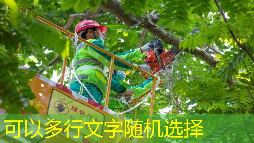 国内园林景观设计意义