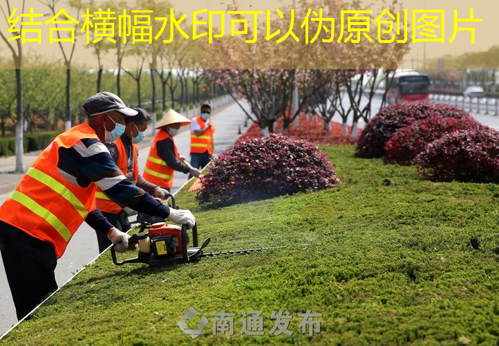 宜兴附近园林绿化工程装饰